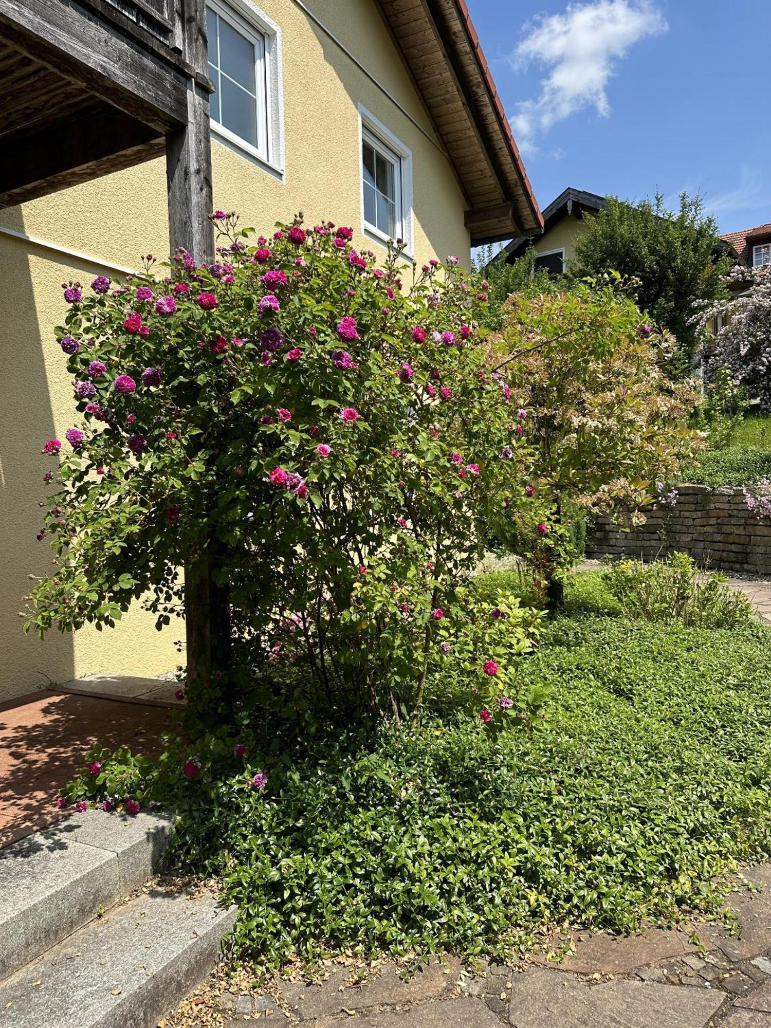 Meywohnen Bad Endorf Appartement Buitenkant foto